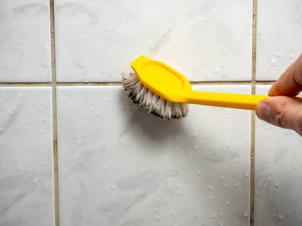 Best Insurance-Related Mold Remediation in Pompton Lakes, NJ