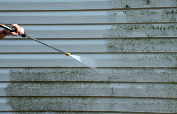 Professional Mold Remediation in Pompton Lakes, NJ