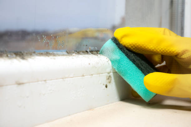 Best Bathroom Mold Remediation in Pompton Lakes, NJ